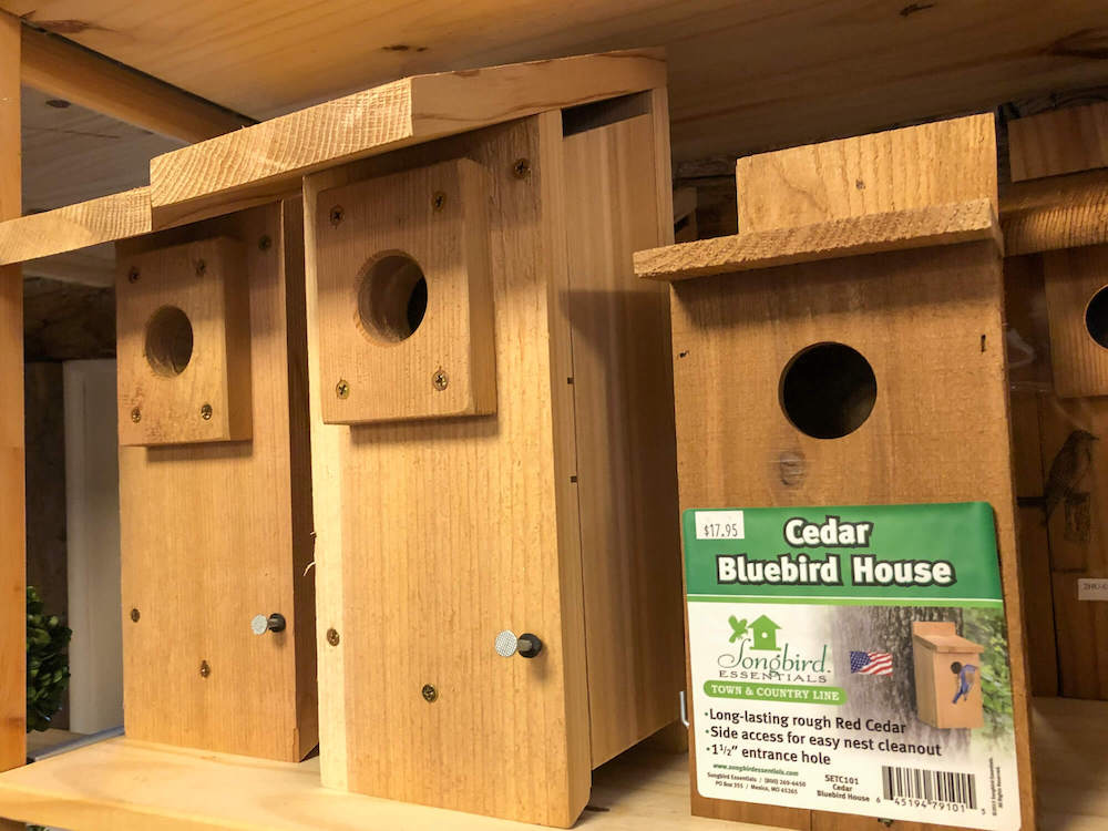 blue bird house